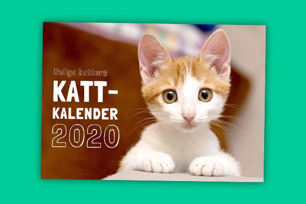 Kattkalender 2020