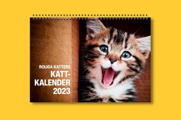 Roliga katters kattkalender 2023